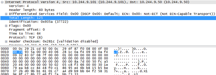 Esempio di pacchetto in grado di provocare il crash del sistema
