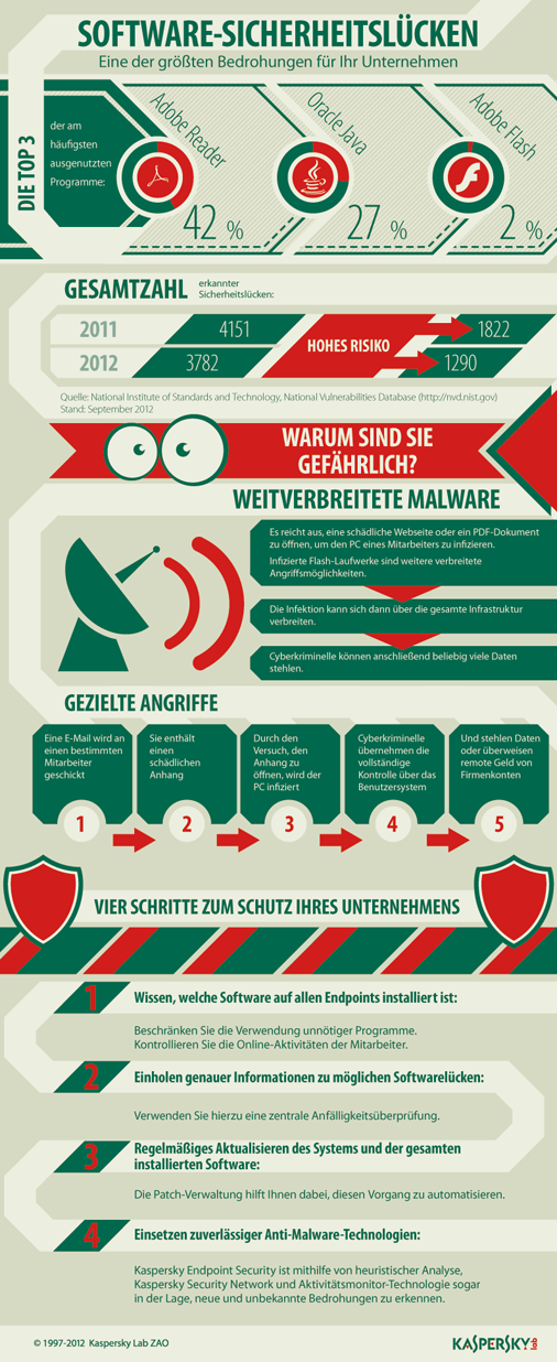 Vulnerable Software Infographic